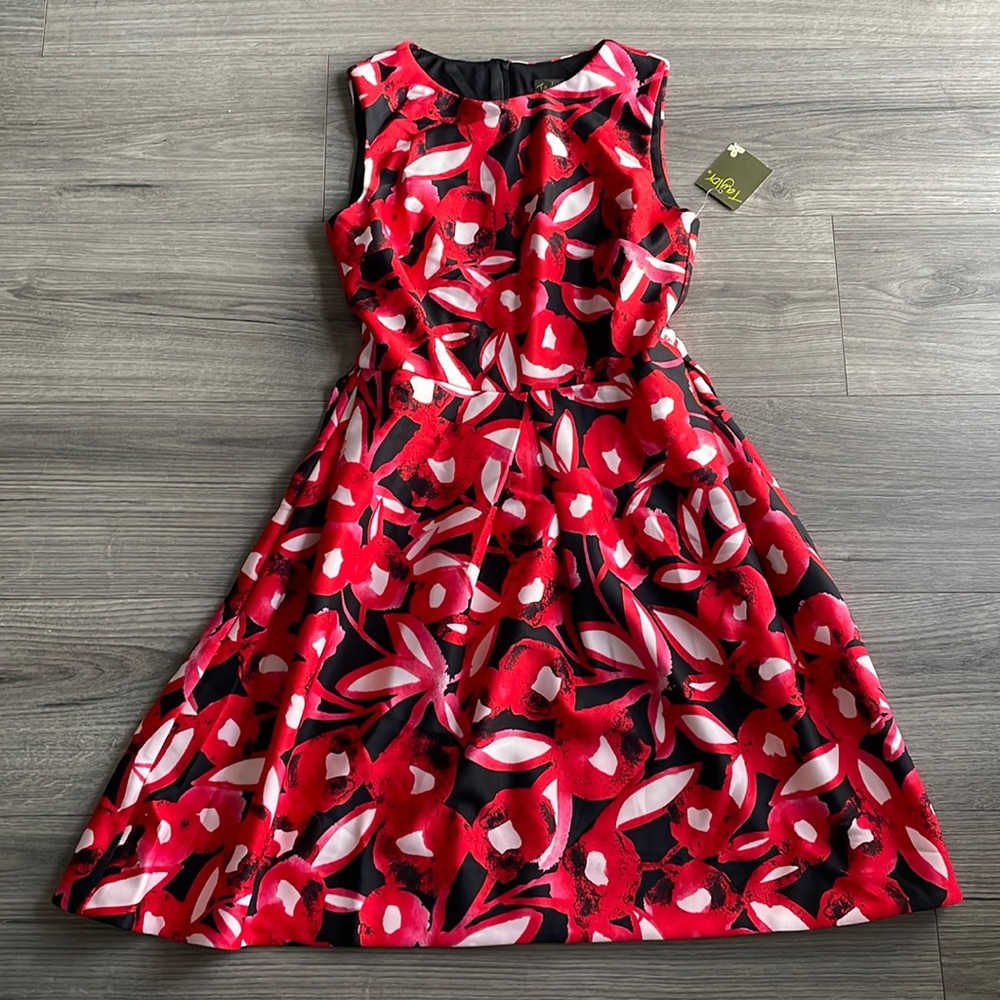 Beautiful brand new dress with the tag